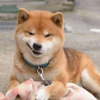 มตบ 🙄 (@bbxxxxs) 's Twitter Profile Photo มตบ 🙄 (@bbxxxxs) 's Twitter Profile Photo