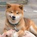 มตบ 🙄 (@bbxxxxs) Twitter profile photo มตบ 🙄 (@bbxxxxs) Twitter profile photo