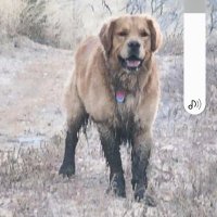 Matthew Conroy (@tineymc) 's Twitter Profile