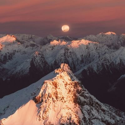 japabamba's profile picture. "Embracing life's twists and turns |  Seeking clarity and growth amidst the chaos. 🌪️🧭"