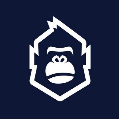 One-click expert DYOR support • Web3 project reports & ranking • 500+ members • 7 Day FREE trial https://t.co/ROtUkSPowa • Official Partner of @neotokyocode