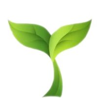 Bodd🌱 (@bodd89) 's Twitter Profile