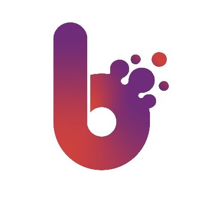 @blinxsolutions