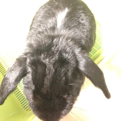 こくとさんのプロフィール画像