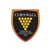Cornwall FA (@cornwallfa) Twitter profile photo