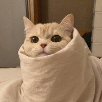 w9ly (@w9ly1) 's Twitter Profile