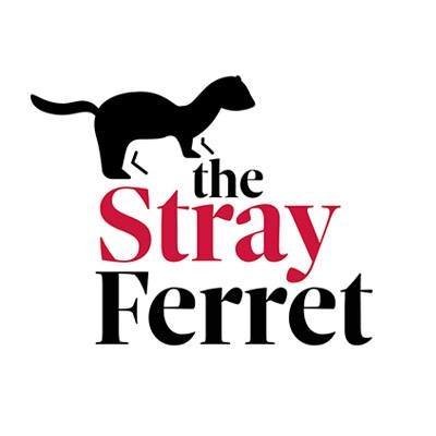 thestrayferret Profile Picture