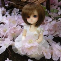 土屋絵蓮/Eiki (@tsuchiyaeiki) 's Twitter Profile Photo