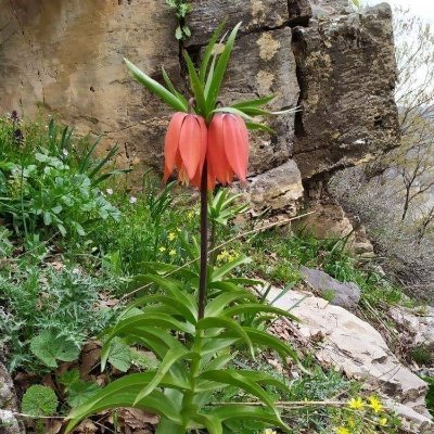 cengizcoskun017's profile picture. https://t.co/hefJLoNKAW