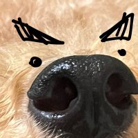 くろろふぃる (@macro0401) 's Twitter Profile