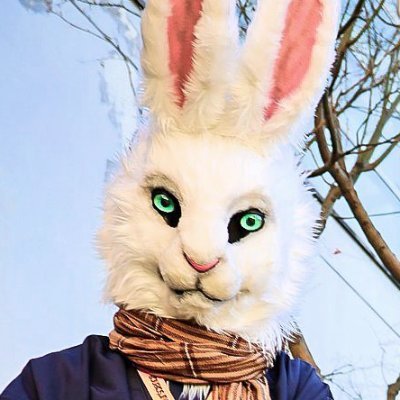 まんぐです。🐰。毛が伸び縮みします。いろんなものがすき。たまーにキャラも作ります（ヘッダー画像見てね）。最近はあちこちのスタッフとか研究@mangsophiajpとかも。でも心は無所属。RT・Fav多■ケモノと社会学と哲学／きぐるみ全般／Eテレ／囲碁／語学／合唱■道灌山と三四郎池■🌍&VR:@mangluca_en