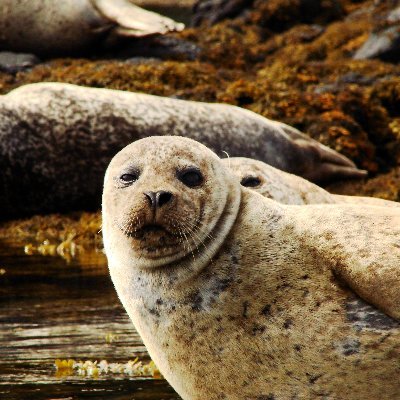 JeffTinsley1987's profile picture. 