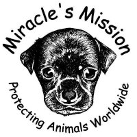 info@miraclesmission.org (@mirimission) 's Twitter Profile Photo info@miraclesmission.org (@mirimission) 's Twitter Profile Photo