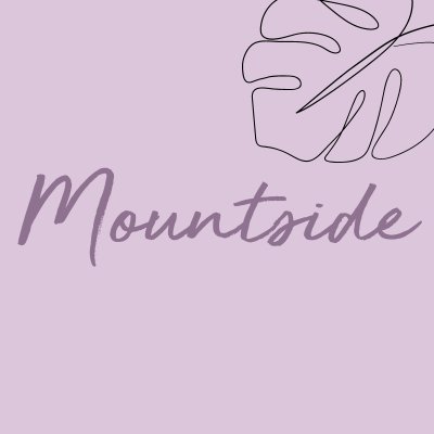 Mountside Care Home
