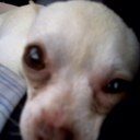 Chris Canning - @CanningChris - Twitter