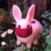 brownlee_jaydan's profile picture. True friendship is a plant of slow growth😵 and must undergo and withstand the shocks of adversity😵 before it is entitled to the appellation🖕