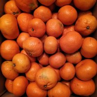 ほげほげおやじ (@heppokohogehoge) 's Twitter Profile