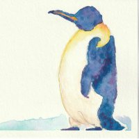 ジラフ(お絵描き・写真用) (@giraffewatercol) 's Twitter Profile Photo ジラフ(お絵描き・写真用) (@giraffewatercol) 's Twitter Profile Photo