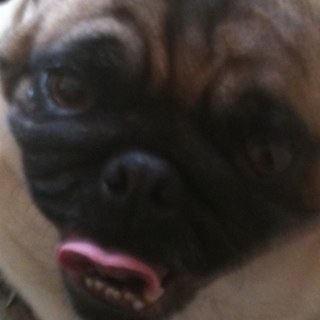 fatkid4life's profile picture. Software Engineer, mediocre video game enthusiastic, on-again/off-again streamer