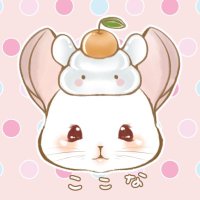 チンチラここな🐰🍙🤍 (@coco_nmk) 's Twitter Profile