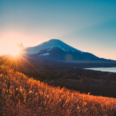 朝ランの途中で見る花や空、休日にポートレートや星空を撮っています　#GFX100 #GF45100 #GF2035 #GF55 #XPro3 #Leica #Summicron #Summilux #Rolleiflex #Tessar