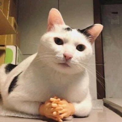 ปลอมตัวอยู่さんのプロフィール画像
