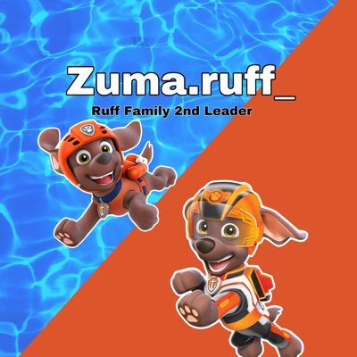 Zuma member 07 of Paw Patrol PFP by me and Banner by me