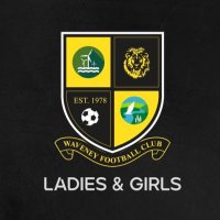 Waveney Girls U16(@LionessesU15) 's Twitter Profile Photo