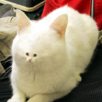 Y80xmmbIbtcBN0Z's profile picture. 春から工学院大学応用物理学科