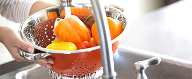 diet and nutrition blog and review feed. Expert advice, reviews, discounted product links, news and more.