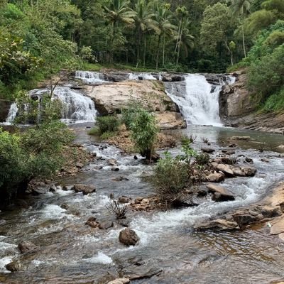 Harish12344455's profile picture. 