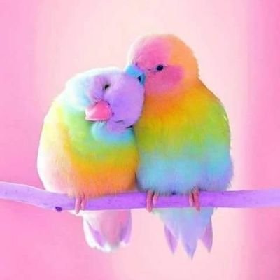 walidelsh's profile picture. أحياناً دقائق من ألإهتمام تُنسيِ عاماًكاملاًمن الألم