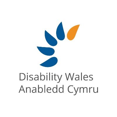 Striving for the rights, equality and independence of disabled people in Wales. 

Ymdrechu am hawliau, cydraddoldeb ac annibyniaeth pobl anabl yng Nghymru.