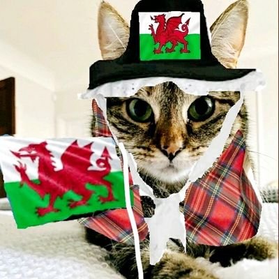 Ollie @myleftfang was a #GoodGirl 4 @JaneFallon & @rickygervais 💔🌈
OBE from Ollie🎖2017
Here also for @PickliciousF 💚 Gizzy 💙
Medi #OTRB 7/20🌈
