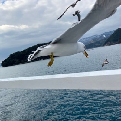 Data Protection & Privacy | Kitahama Partners | European Center for Certification and Privacy (ECCP) | Former Personal Information Protection Commission (PPC)