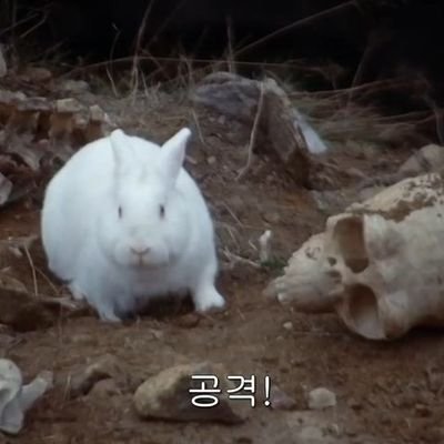 비비빙기さんのプロフィール画像