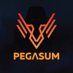 Pegasum (@PegasumCL) Twitter profile photo