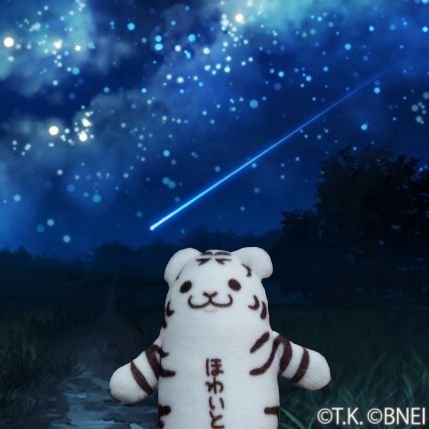 コスモスさんのプロフィール画像