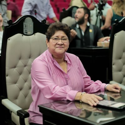 🏛️ Diputada XVII Legislatura  📍 Quintana Roo 🤍 Mamá  🧮 Contadora  🐶 Amante de los Perros