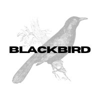 Blackbird: Podcast & Blog(@blackbirdtexts) 's Twitter Profile Photo
