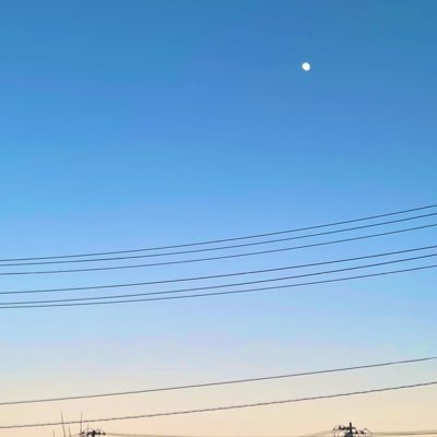 海鮮　アプリ消去済みさんのプロフィール画像