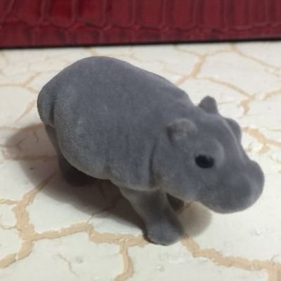 jiejuewang's profile picture. 无