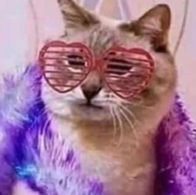 Bread_cheese3's profile picture. 