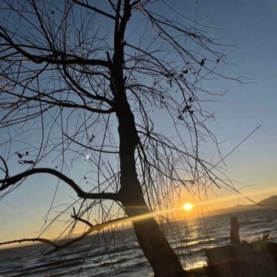 RhCyt8's profile picture. 