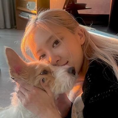— here for #ROSÉ | bingos, stream, dinámicas y más!