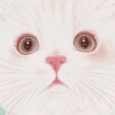 누요NUYOさんのプロフィール画像