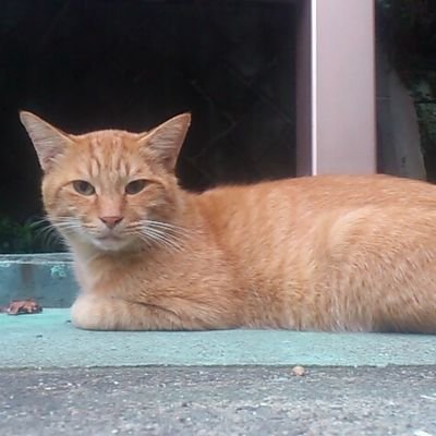 カイさんのプロフィール画像