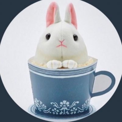 lovelylapin_55 Profile Picture