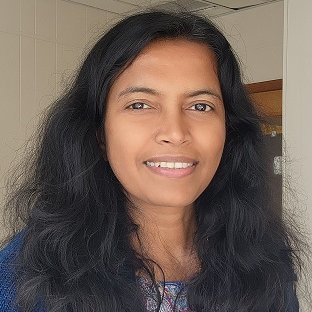 Krishnan_Pravi's profile picture. Scientist at NOAA/ARL/ATDD 
| surface -atmosphere exchange| UrbanNet