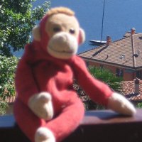 Bazza the Grumpy Brewer (@bazmcmul) 's Twitter Profile Photo Bazza the Grumpy Brewer (@bazmcmul) 's Twitter Profile Photo